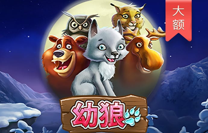 6m6m威九国际